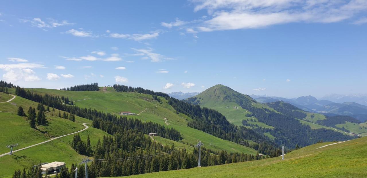 Ferienwohnung Sappl Scheffau am Wilden Kaiser Exteriér fotografie