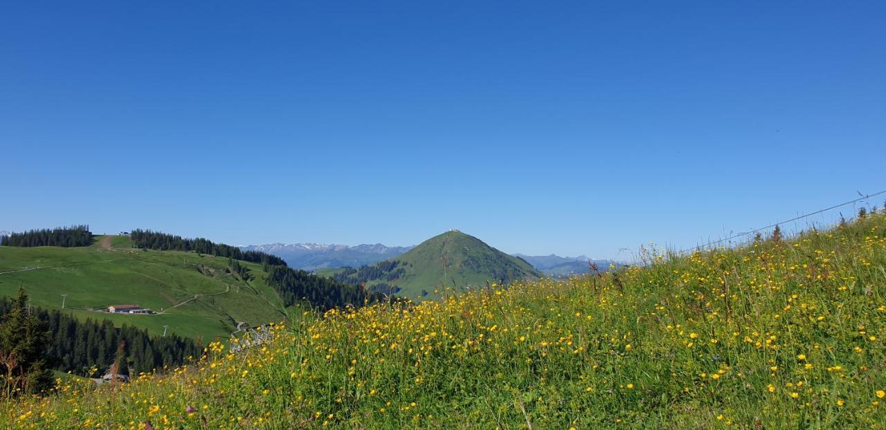 Ferienwohnung Sappl Scheffau am Wilden Kaiser Exteriér fotografie