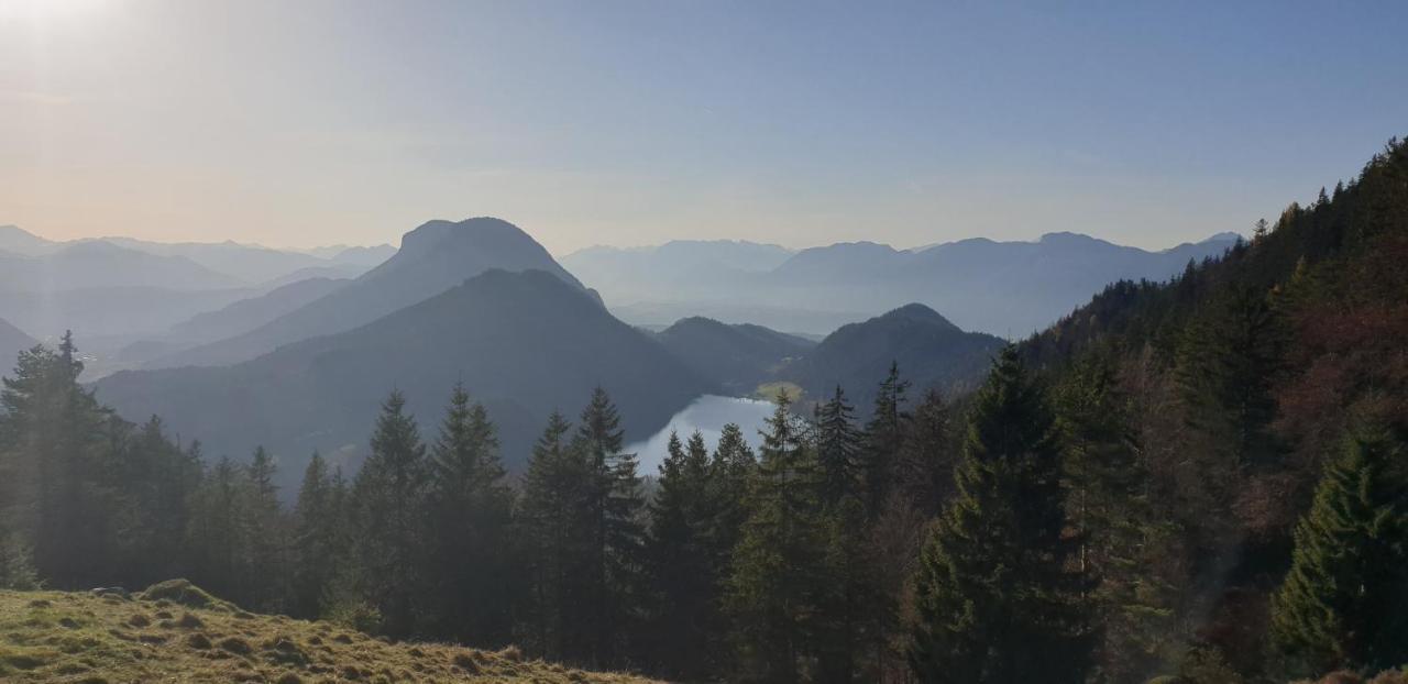 Ferienwohnung Sappl Scheffau am Wilden Kaiser Exteriér fotografie