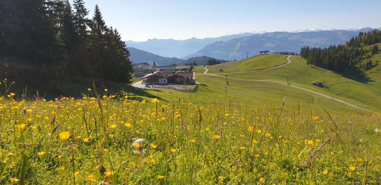 Ferienwohnung Sappl Scheffau am Wilden Kaiser Exteriér fotografie