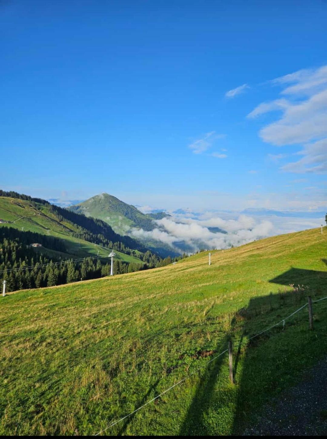 Ferienwohnung Sappl Scheffau am Wilden Kaiser Exteriér fotografie