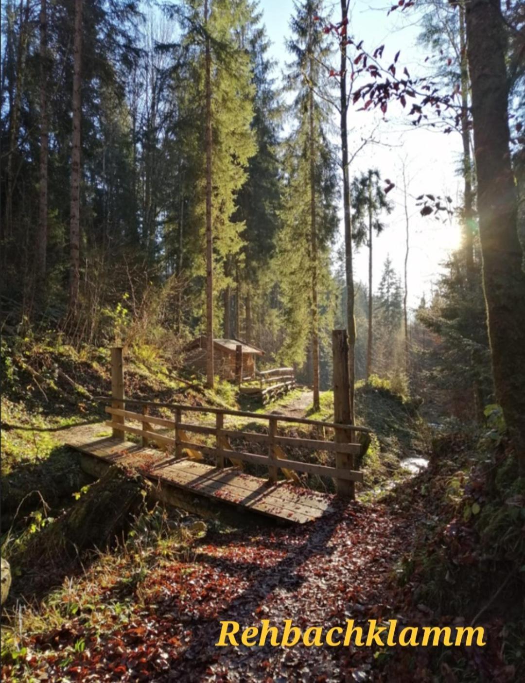 Ferienwohnung Sappl Scheffau am Wilden Kaiser Exteriér fotografie
