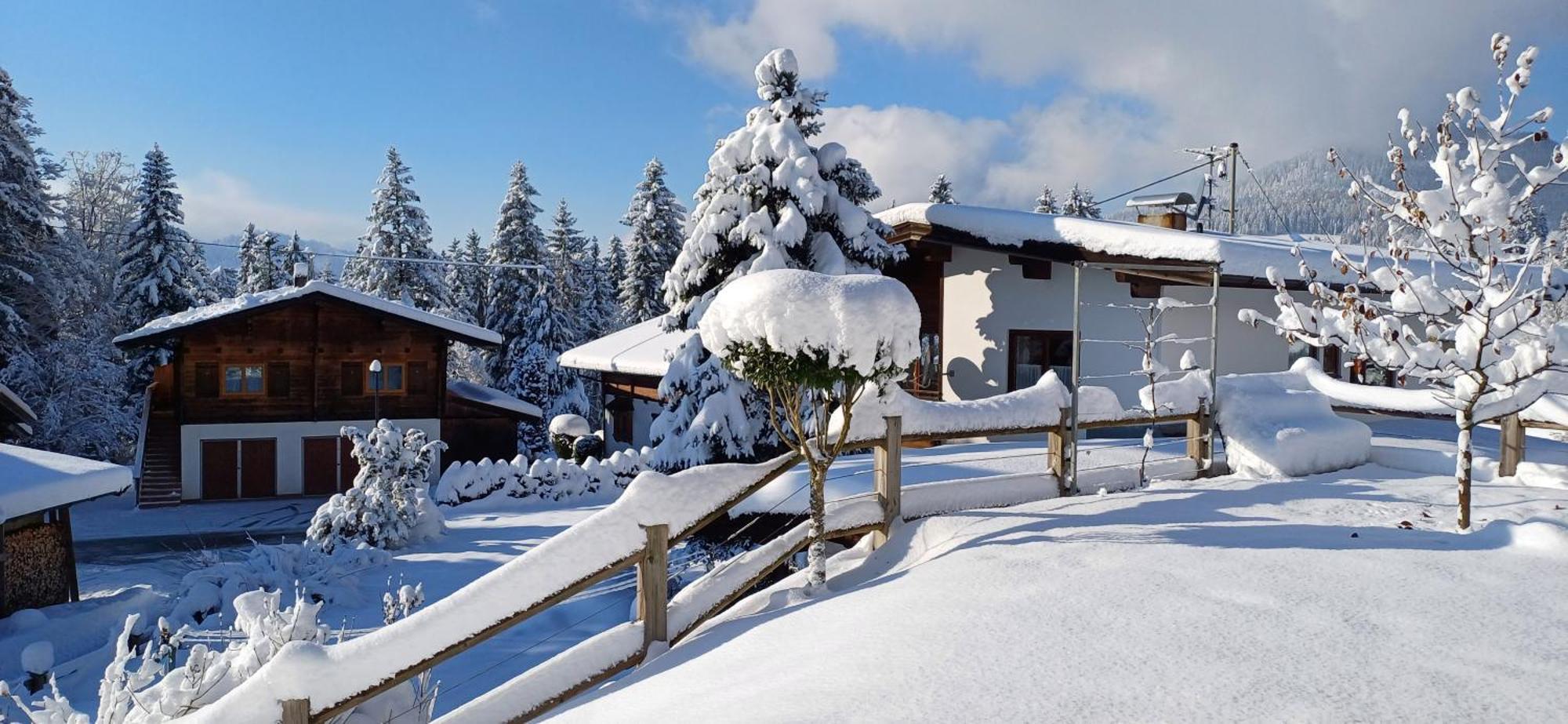 Ferienwohnung Sappl Scheffau am Wilden Kaiser Exteriér fotografie